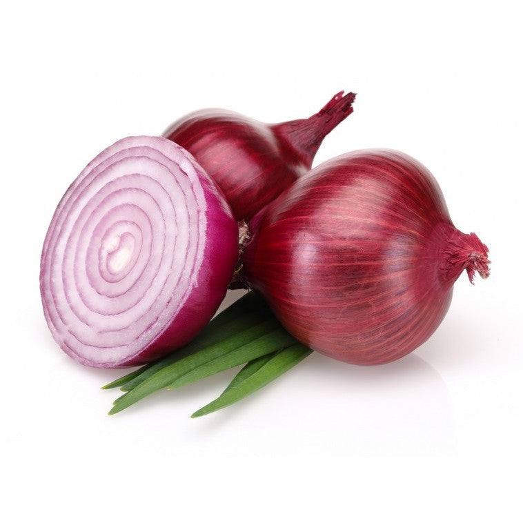 Red Onion 10Lbs Bag