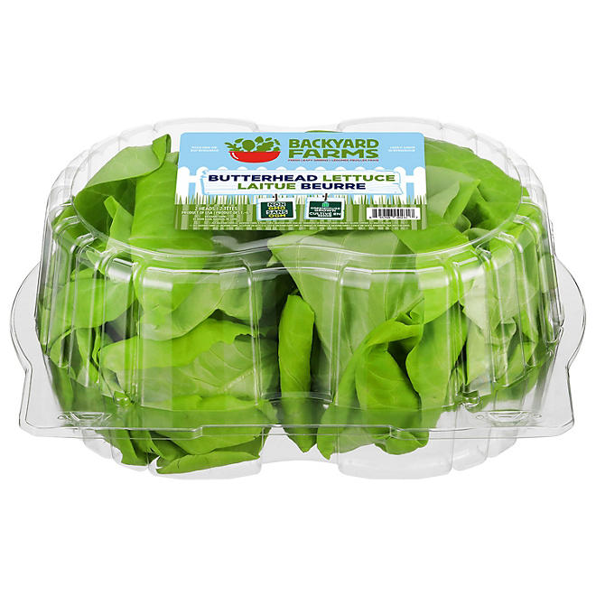 Butterhead Lettuce, 2 ct.