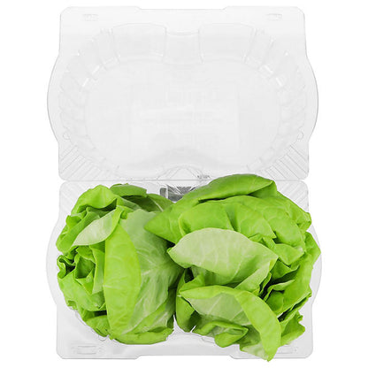 Butterhead Lettuce, 2 ct.