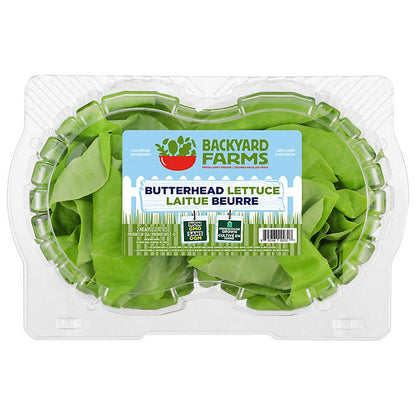 Butterhead Lettuce, 2 ct.